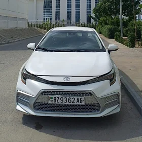 Toyota Corolla 2021