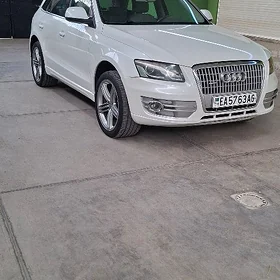 Audi Q5 2010