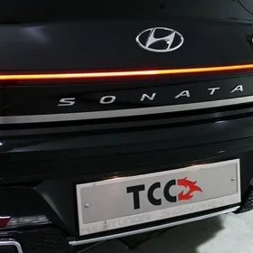 Sonata 20-22 bagaž/nikel