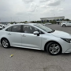 Toyota Corolla 2021