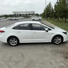 Toyota Corolla 2021