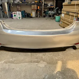 Corolla bamber