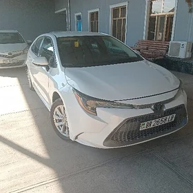 Toyota Corolla 2019