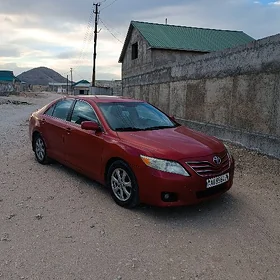Toyota Camry 2010