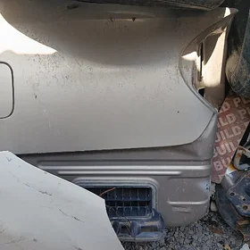 duty camry yzky krlosy morda
