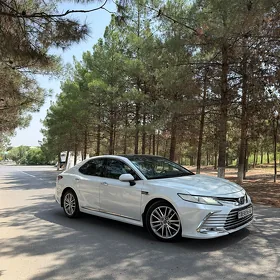Toyota Camry 2020