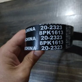 remen 1613 8pk