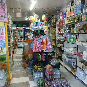satlyk magazin arenda