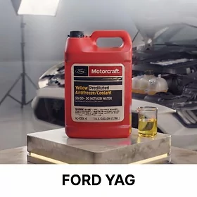 FORD ANTIFRIZ SARY АНТИФРИЗ 🟡