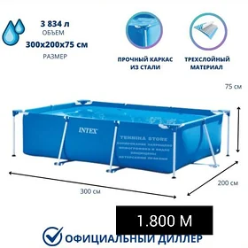 Intex Basseyni