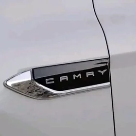 CAMRY KRLO YAZGY