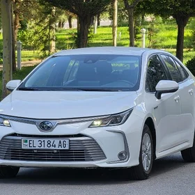 Toyota Corolla 2021