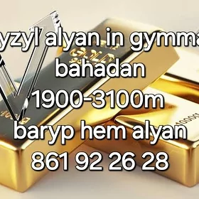gyzyl kumuş alyan