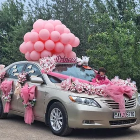 Toyota Camry 2009