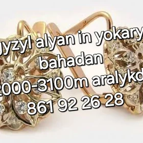 gyzyl kumus alyan