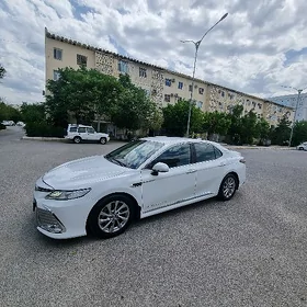 Toyota Camry 2021
