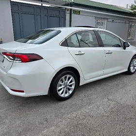 Toyota Corolla 2020