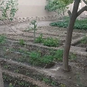 Участок дом