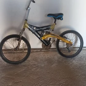 weolsped 300