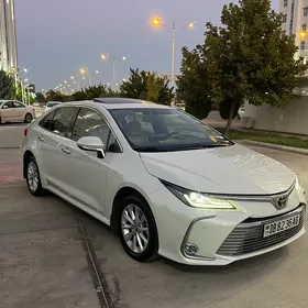 Toyota Corolla 2019
