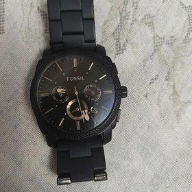 Fossil sagat