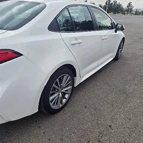 Toyota Corolla 2019