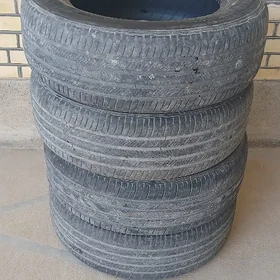 R18 Michelin