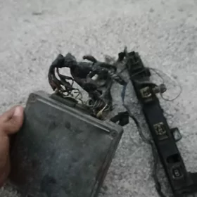 kampyuter