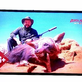 40 телевизор telewizor