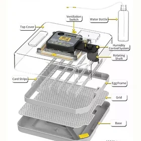 incubator инкубатор