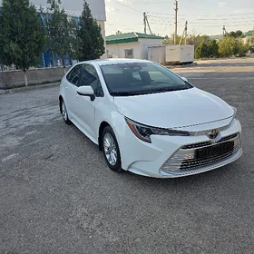 Toyota Corolla 2023