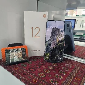 Xiaimi 12X