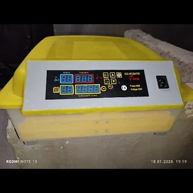 inkubator