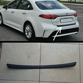 Karolla yzky plasmasy 2019 25