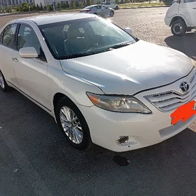 Toyota Camry 2010