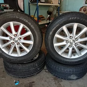 Xel r16 arginal ýyly 25 okuzke