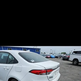 Toyota Corolla 2021
