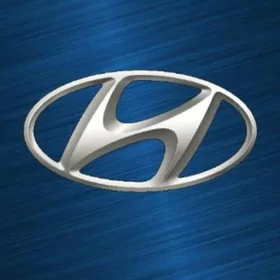 ‼️HYUNDAI REMONT‼️