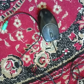 ✅️MYŞKA SYÇANCYK, AMATLY BAHA