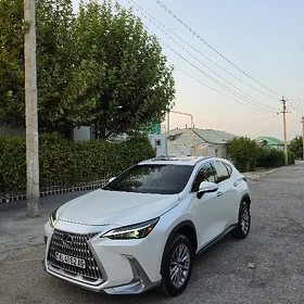Lexus NX 350 2024
