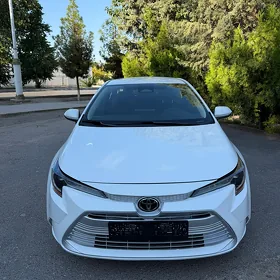 Toyota Corolla 2024