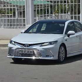 Toyota Camry 2019