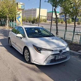 Toyota Corolla 2023