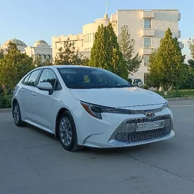 Toyota Corolla 2023