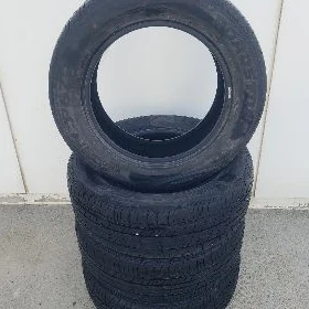 teker 16 lyk