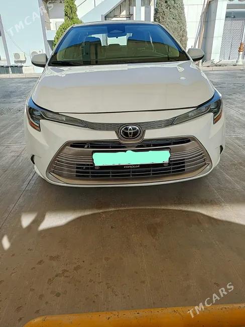 Toyota Corolla 2025