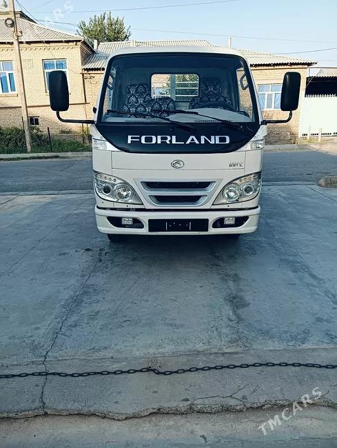 Forland H2 2009
