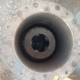maz bedire 5 şesdirna