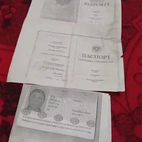 pasport yitirdik