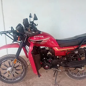 Fekon FK150-8G 2026